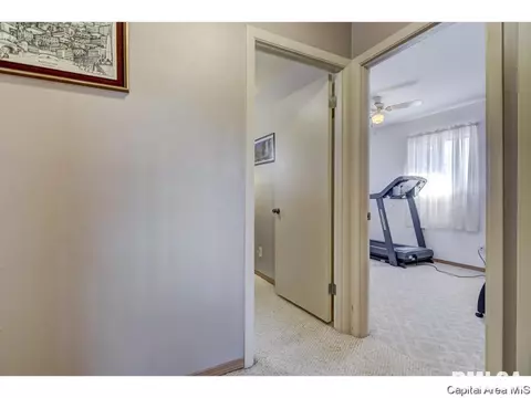 3224 Buckner St, Springfield, IL 62703 photo 29