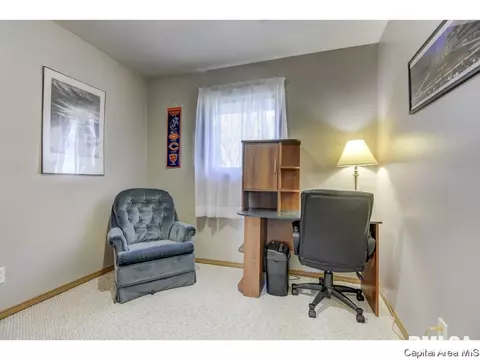 3224 Buckner St, Springfield, IL 62703 photo 25