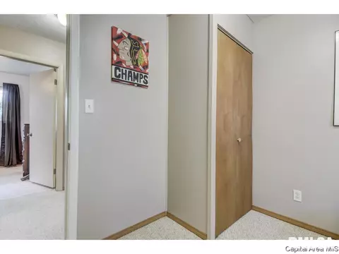 3224 Buckner St, Springfield, IL 62703 photo 28