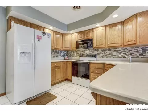 3117 Catalpa Dr, Springfield, IL 62712 photo 9
