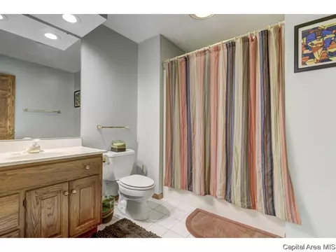 3117 Catalpa Dr, Springfield, IL 62712 photo 25