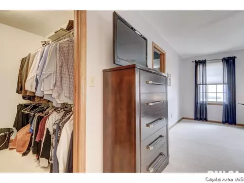 3117 Catalpa Dr, Springfield, IL 62712 photo 22
