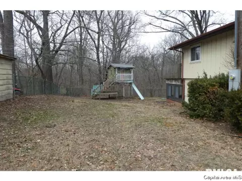 7477 Mechanicsburg Rd, Springfield, IL 62712 photo 22