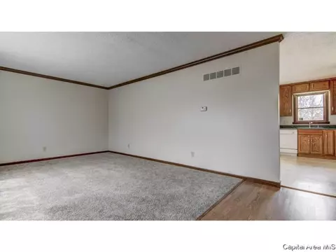 2609 Idlewild Dr, Springfield, IL 62704 photo 8