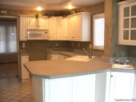 1704 S Douglas Ave, Springfield, IL 62704 photo 10