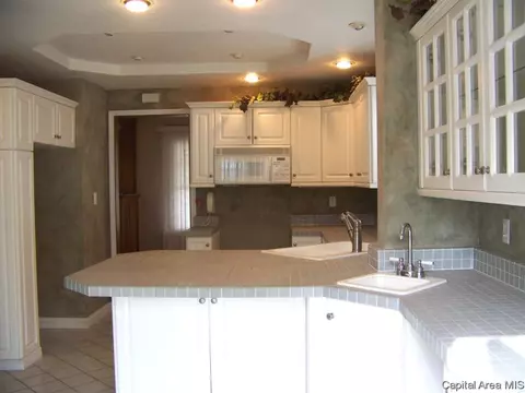 1704 S Douglas Ave, Springfield, IL 62704 photo 8