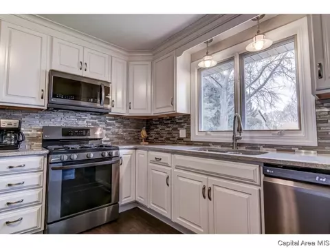 3209 Ellendale, Springfield, IL 62704 photo 12