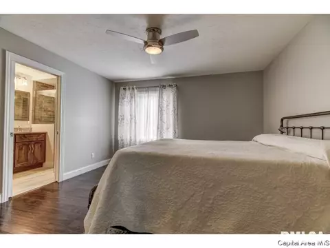 3209 Ellendale, Springfield, IL 62704 photo 20