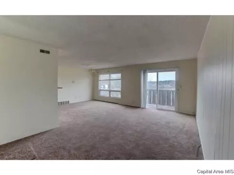 1914 Jeanette Ln #7, Springfield, IL 62702 photo 7