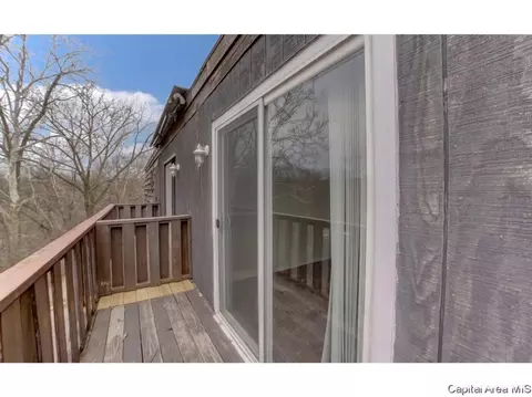 1914 Jeanette Ln #7, Springfield, IL 62702 photo 27