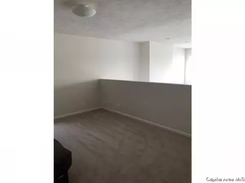 3111 Spring Mill Dr, Springfield, IL 62704 photo 20