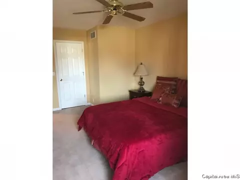 3111 Spring Mill Dr, Springfield, IL 62704 photo 17