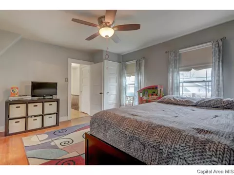 1433 N 3rd, Springfield, IL 62702 photo 17