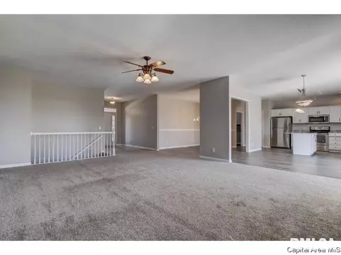 4636 Svenson, Springfield, IL 62711 photo 14