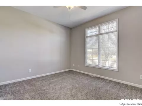4636 Svenson, Springfield, IL 62711 photo 16