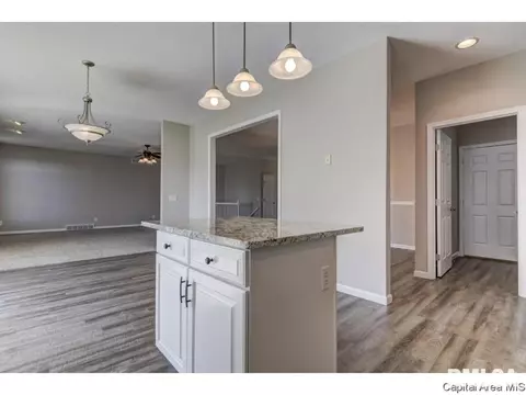 4636 Svenson, Springfield, IL 62711 photo 10