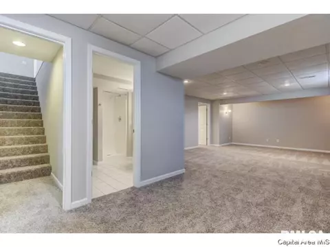 4636 Svenson, Springfield, IL 62711 photo 22
