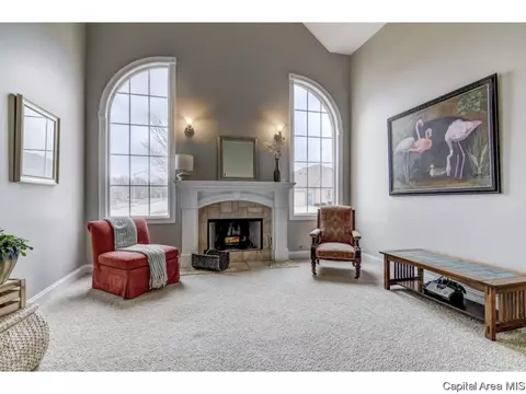 2301 Amber Ct, Springfield, IL 62704 photo 7