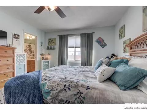 116 Verona Dr, Springfield, IL 62703 photo 13