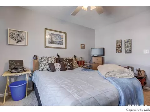 116 Verona Dr, Springfield, IL 62703 photo 24