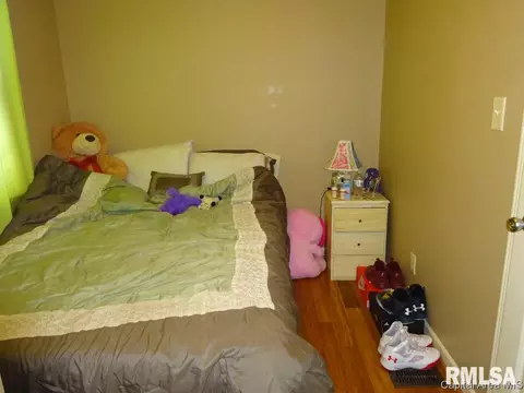 1845 S 13th St, Springfield, IL 62703 photo 22