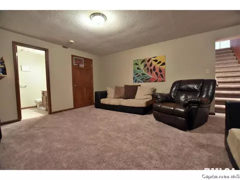 2005 Briar Ct, Springfield, IL 62704 photo 13