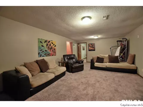 2005 Briar Ct, Springfield, IL 62704 photo 14