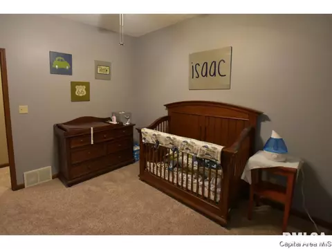 2005 Briar Ct, Springfield, IL 62704 photo 23