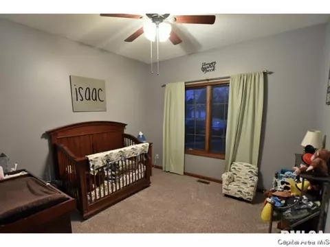 2005 Briar Ct, Springfield, IL 62704 photo 22