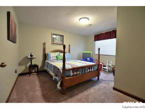 2005 Briar Ct, Springfield, IL 62704 photo 26