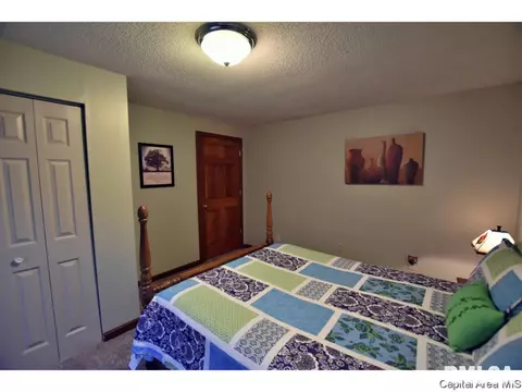2005 Briar Ct, Springfield, IL 62704 photo 27