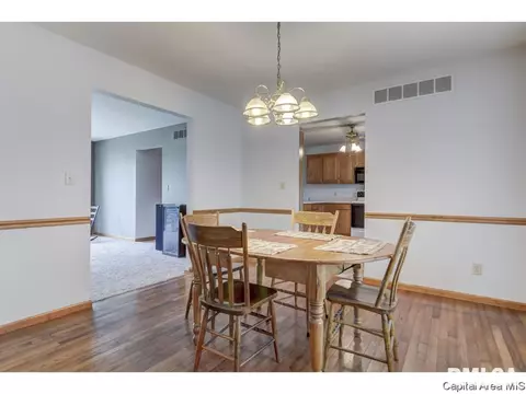 1413 Azalea Ct, Springfield, IL 62712 photo 13
