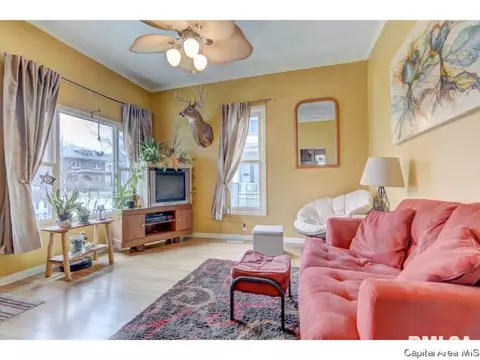 616 S Douglas Ave, Springfield, IL 62704 photo 10