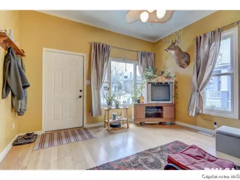 616 S Douglas Ave, Springfield, IL 62704 photo 23