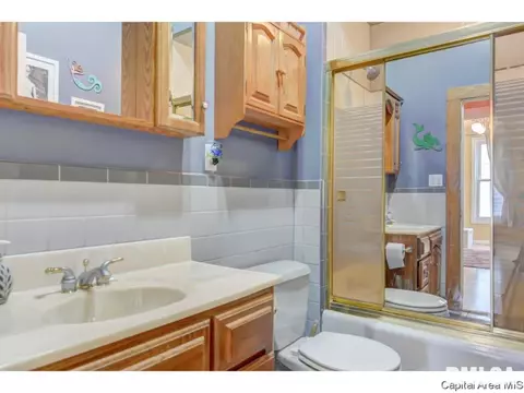 616 S Douglas Ave, Springfield, IL 62704 photo 13