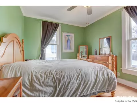616 S Douglas Ave, Springfield, IL 62704 photo 14