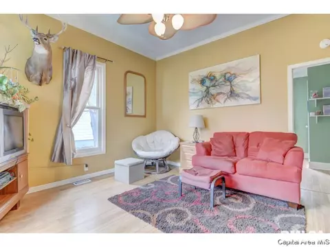 616 S Douglas Ave, Springfield, IL 62704 photo 9