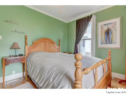 616 S Douglas Ave, Springfield, IL 62704 photo 15