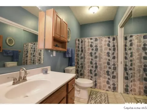 3502 E State Route 29, Springfield, IL 62712 photo 18