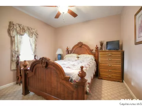3502 E State Route 29, Springfield, IL 62712 photo 20