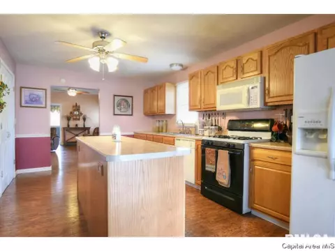 3502 E State Route 29, Springfield, IL 62712 photo 7