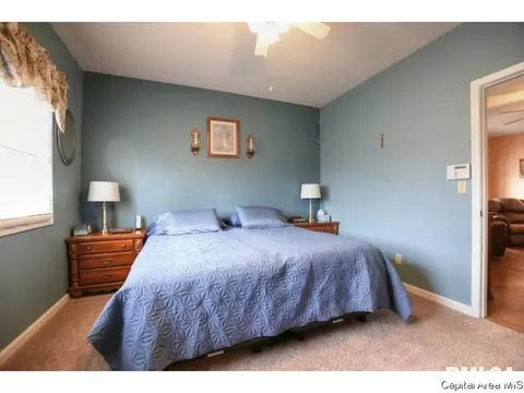 3502 E State Route 29, Springfield, IL 62712 photo 16