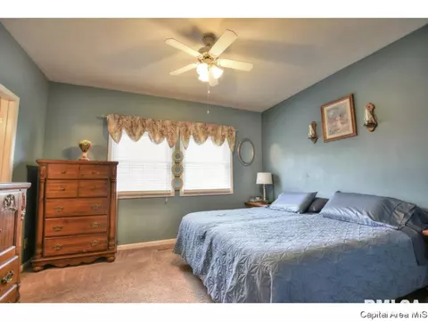 3502 E State Route 29, Springfield, IL 62712 photo 17