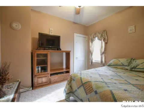 3502 E State Route 29, Springfield, IL 62712 photo 25