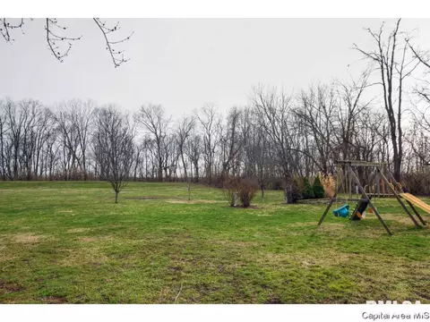 3502 E State Route 29, Springfield, IL 62712 photo 32
