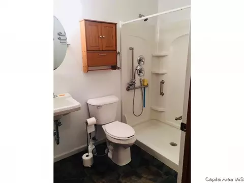 4437 Laverna Rd, Springfield, IL 62707 photo 20