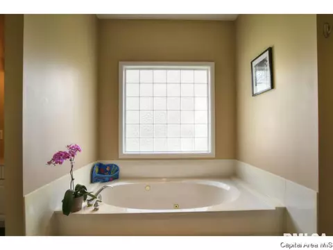 6404 Twelve Oaks Ct, Springfield, IL 62712 photo 20