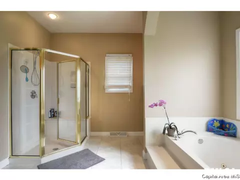 6404 Twelve Oaks Ct, Springfield, IL 62712 photo 19
