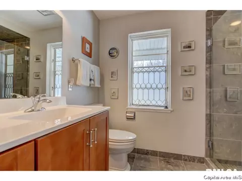 216 Maple Grv, Springfield, IL 62712 photo 12