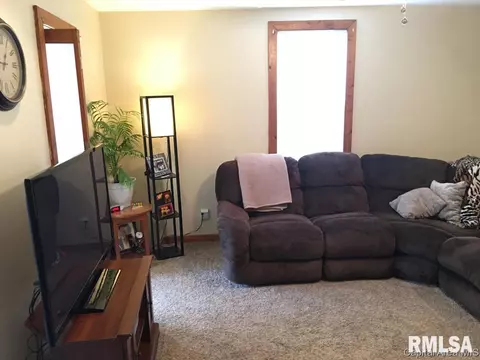 420 W Chenery Street St, Springfield, IL 62704 photo 3